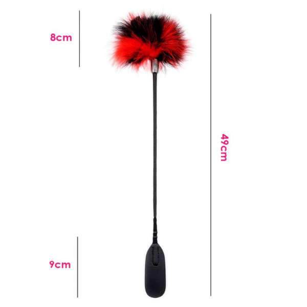 Cravache Bdsm Plume