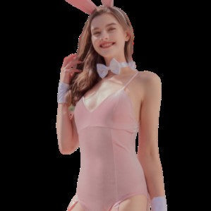 Déguisement Lapine Sexy Pinky