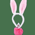 Plug Anal Queue et Oreilles de Lapin
