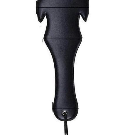 Paddle Bdsm Poisson