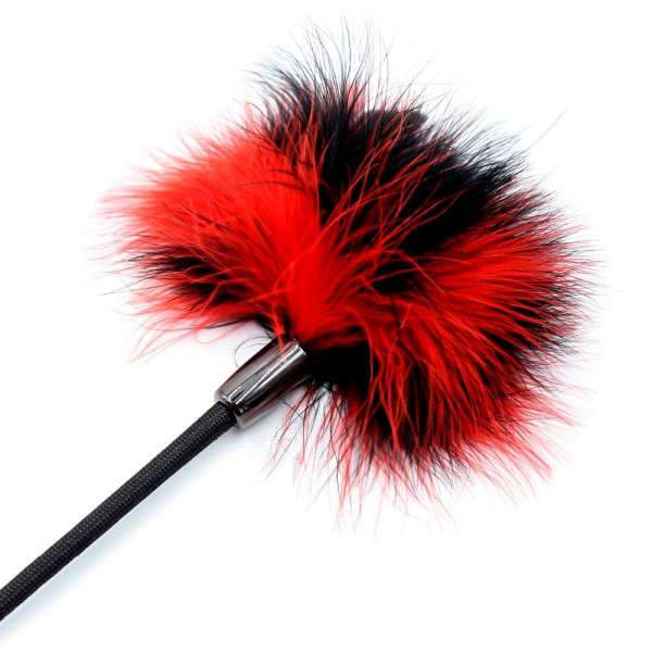 Cravache Bdsm Plume