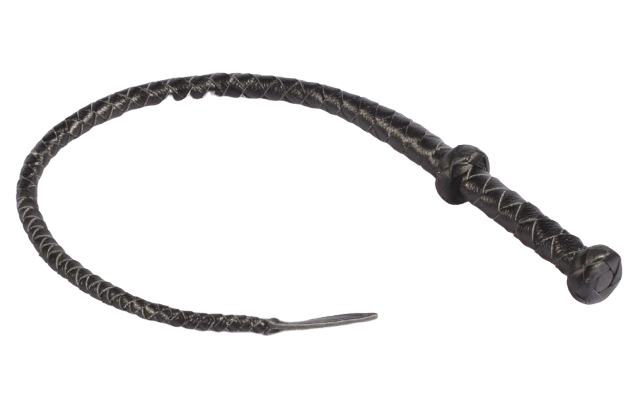 Fouet Bdsm Cuir