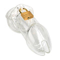 Cage de Chasteté Transparente
