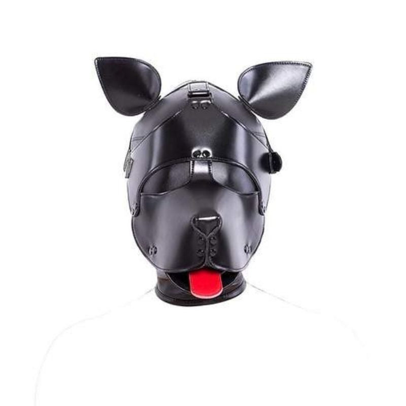 Cagoule SM Chien (2 en 1)