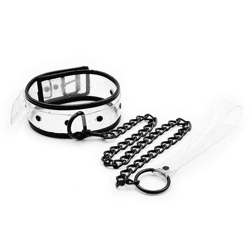 Collier + laisse
