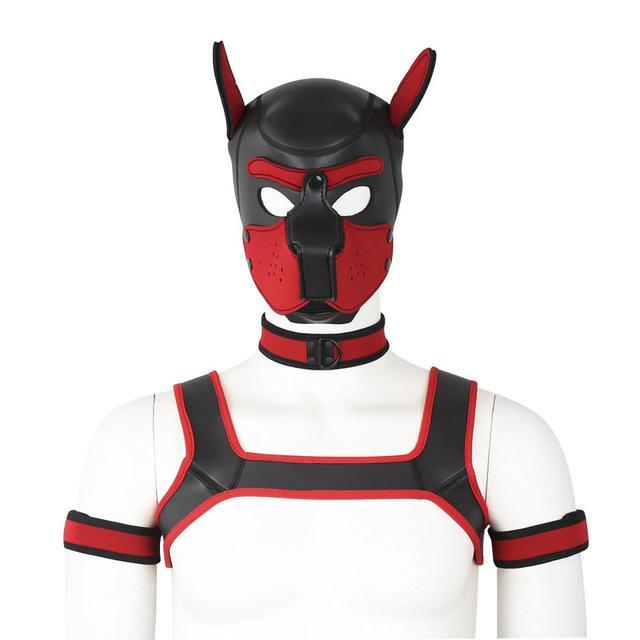 Masque Fetish Harnais