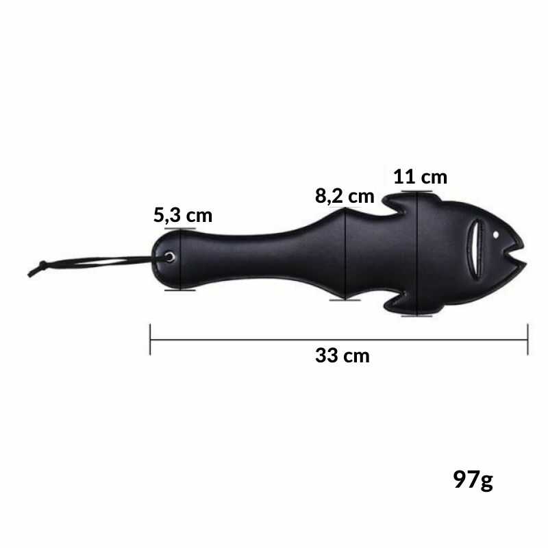 Paddle BDSM Poisson