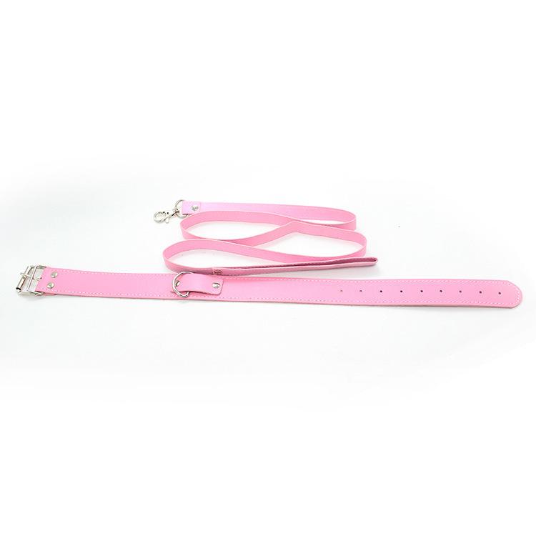 Collier Laisse BDSM DDLG