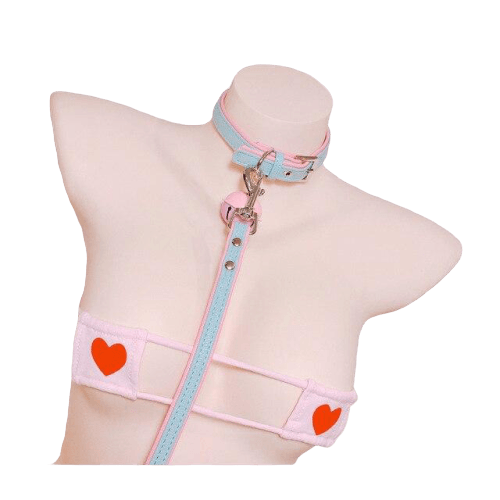 Collier laisse bleu