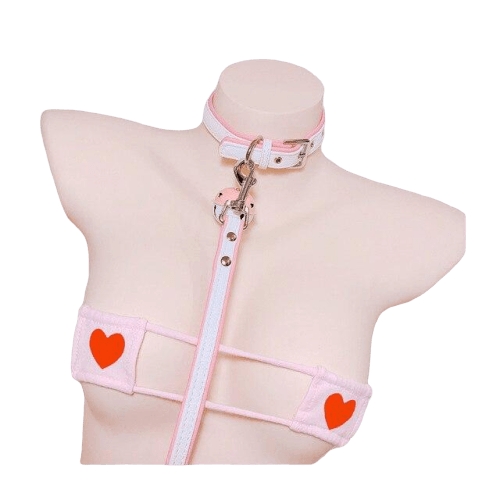 Collier laisse blanc